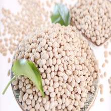 Wholesale Baishake Type White Kidney Bean for Food